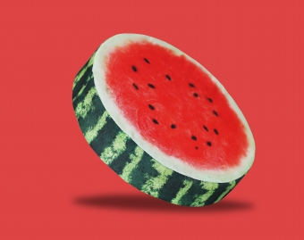 Подушка на стул  • For Rest Watermelon / Фор Рест Арбуз •